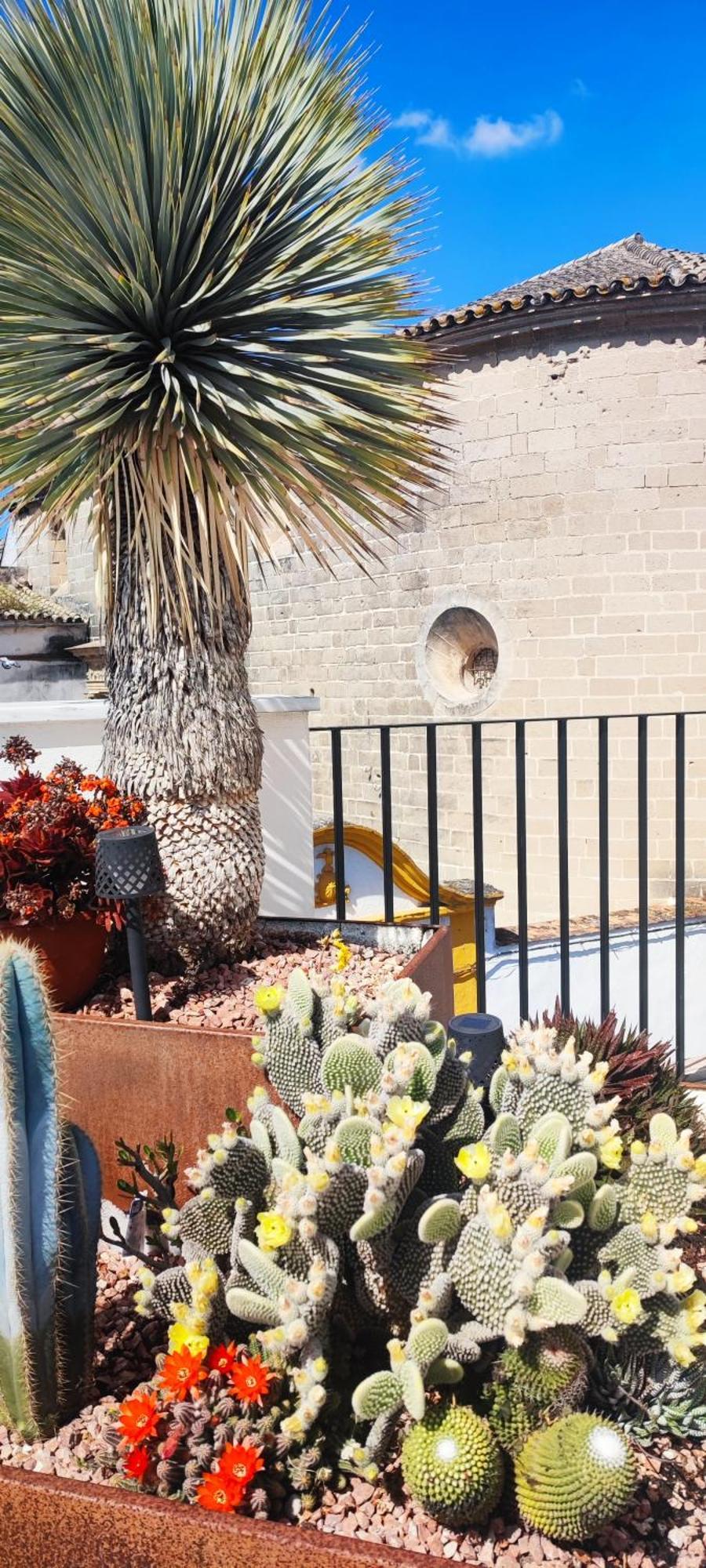 Palacio El Duende Old Town Parking Gratis Terraza Vista Catedral Alcazar *