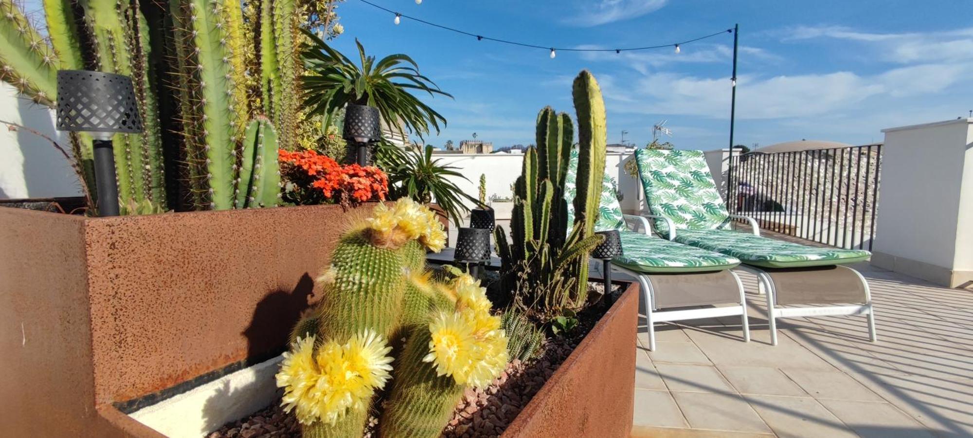 Palacio El Duende Old Town Parking Gratis Terraza Vista Catedral Alcazar *