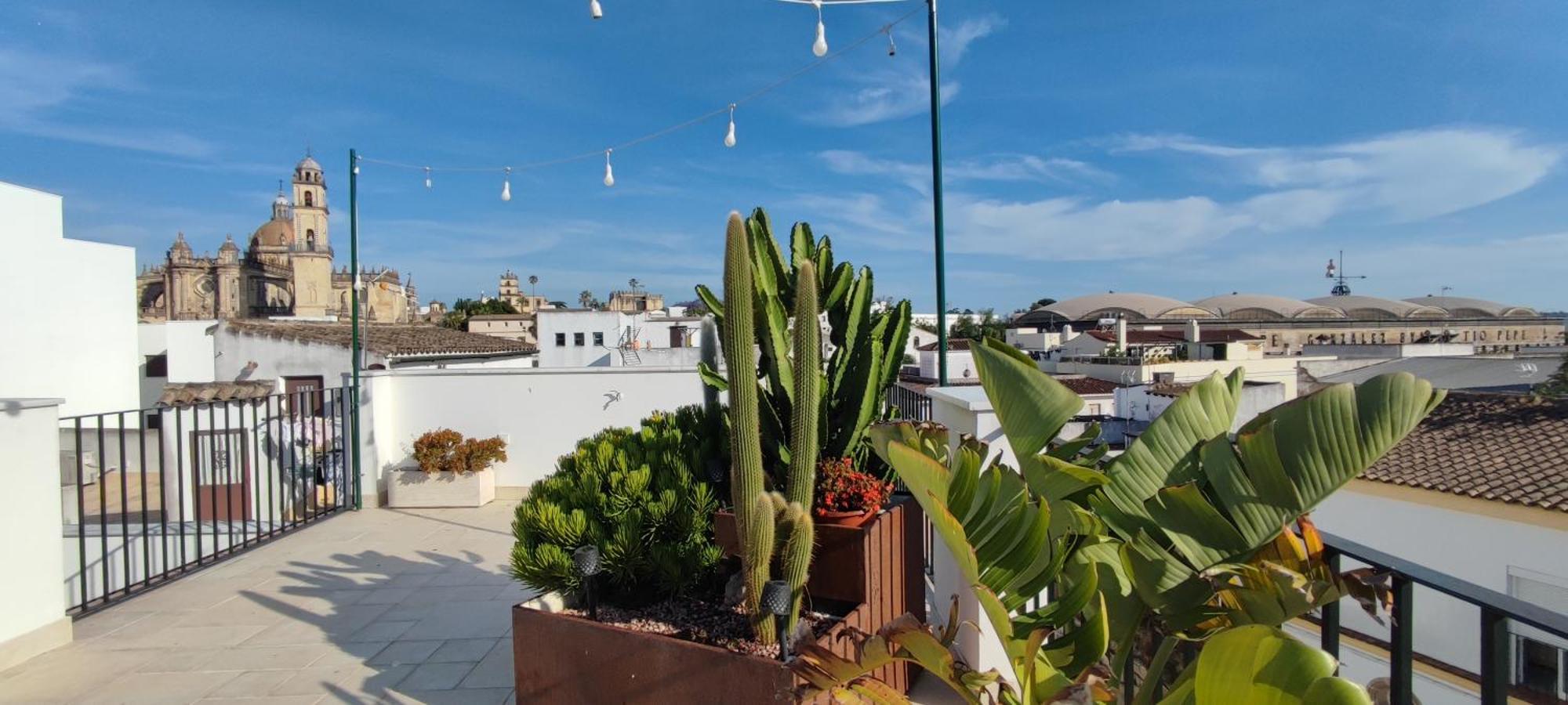 Palacio El Duende Old Town Parking Gratis Terraza Vista Catedral Alcazar Apartment *